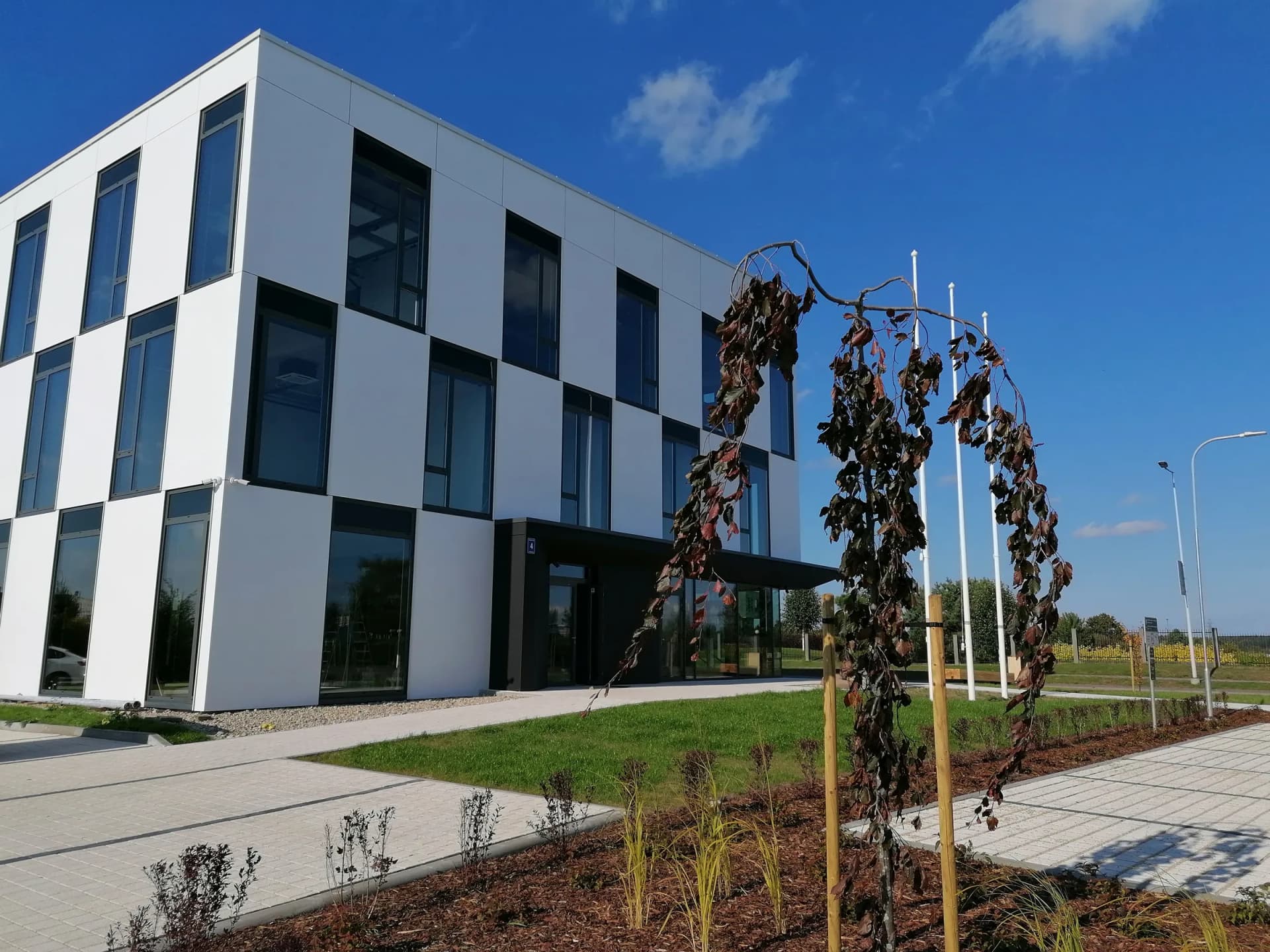 Three-Storey Office Building with Infill Panels and CLT Interior Finishes image 1